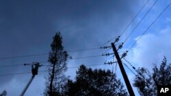 A worker cuts a burn tree next of an electricity poll as work continues to fix power lines near the village Milies on Evia island, about 181 kilometers (113 miles) north of Athens, Greece, Aug. 12, 2021.
