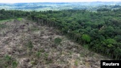 FILE - An aerial view shows a deforested area during an operation to combat deforestation near Uruara, Para State, Brazil January 21, 2023.