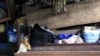 Thousands of Displaced People Face Eviction in Ivory Coast