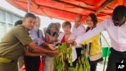 World Bank’s Chief Executive Officer Kristalina Georgieva, center, along with other commissioners of the Global Commission on Adaptation to climate change, plants a tree in the southern coastal district of Cox's Bazar, Bangladesh, July 10, 2019.