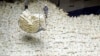 Aid Group Sends Food in a Bottle to North Korea