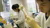 FILE - A lab officer carries out a DNA extraction from cells as part of a process to look for molecular markers containing cancer cells in a patient.