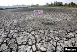A sign which reads "Land for sale or for lease" is seen placed on a drought-affected rice field in Bac Lieu province