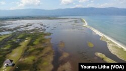 Tampak udara dampak kawasan pengembalaan ternak kerbau di Desa Tokilo dan Tindoli yang terendam oleh luapan Danau Poso, Senin (9/11/2020). (Foto: VOA/Yoanes Litha)