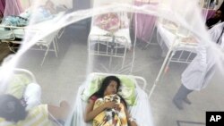 Nadia Gonzalez dirawat di rumah sakit di Luque, Paraguay karena menderita demam berdarah, 5 Februari 2016.