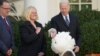 Biden Beri Pengampunan Thanksgiving kepada 2 Ekor Kalkun