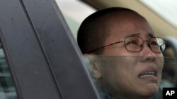 诺贝尔和平奖得主刘晓波妻子刘霞