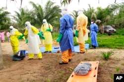 Ebola's surge across West Africa claimed more than 11,000 lives in 2015.