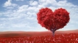 Saint Valentin
