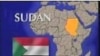 Sudanese Activists Hope to Follow Tunisia and Egypt, Despite Different Circumstances