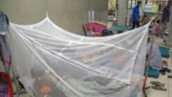 STP: Especialistas de saúde pública criticam a manipulação de dados da dengue