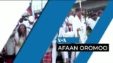 Tamsaasa Guyaadhaa Guyyaa