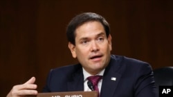美国佛罗里达州共和党联邦参议员鲁比奥