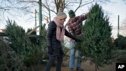 Inflation Christmas Trees