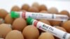 Bird flu found in western China as US combats cattle outbreak