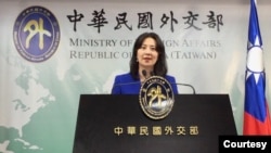 台灣外交部發言人甌江安。 (資料照片)