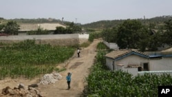 지난 2015년 6월 북한 황해남도 농가와 옥수수밭. 현지 관리와 주민들이 당시 비가 거의 내리지 않았다고 외신기자와 인터뷰했다. (자료사진)