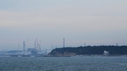 福島核電站啟動處理水排海後 日韓首批海水採樣均達安全標準