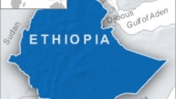 የኦሮሞ ነፃነት ሸማቂዎች