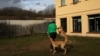 Puppy Love: Therapy Pooches Bring Peace of Mind at Spanish Psychiatric Center
