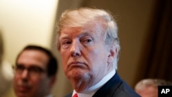 Trump Veto 