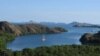 Organisasi Lingkungan Khawatir Pembangunan Pulau Rinca Ganggu Habitat Komodo