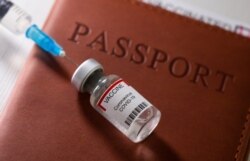 A syringe and a vial labelled "coronavirus disease (COVID-19) vaccine" are placed on a passport in this illustration picture