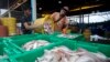 Protecting Migrant Workers Can Benefit Host Countries' Economies, UN Says
