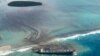 Greenpeace: Perlu Ganti Rugi atas Tumpahan Minyak Kapal Jepang di Mauritius