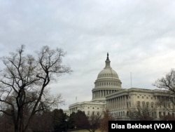 The U.S. Capitol Hill building in Washington, DC.(Diaa Bekheet)