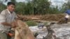 Cambodian Committee to Investigate Killing of Environmental Activist