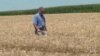 US Farmers Brace for Long-Term Impact of Escalating Trade War