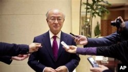 国际原子能机构总干事田野之弥（资料照）