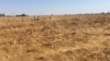 Zimbabwe Farmers Get High-nutrient Seeds to Aid Recovery from Drought