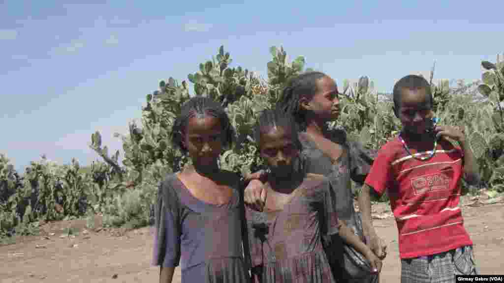 በትግራይ ክልል ራያ ዓዘቦ ከፍተኛ ድርቅ እና የምግብ እጥረት