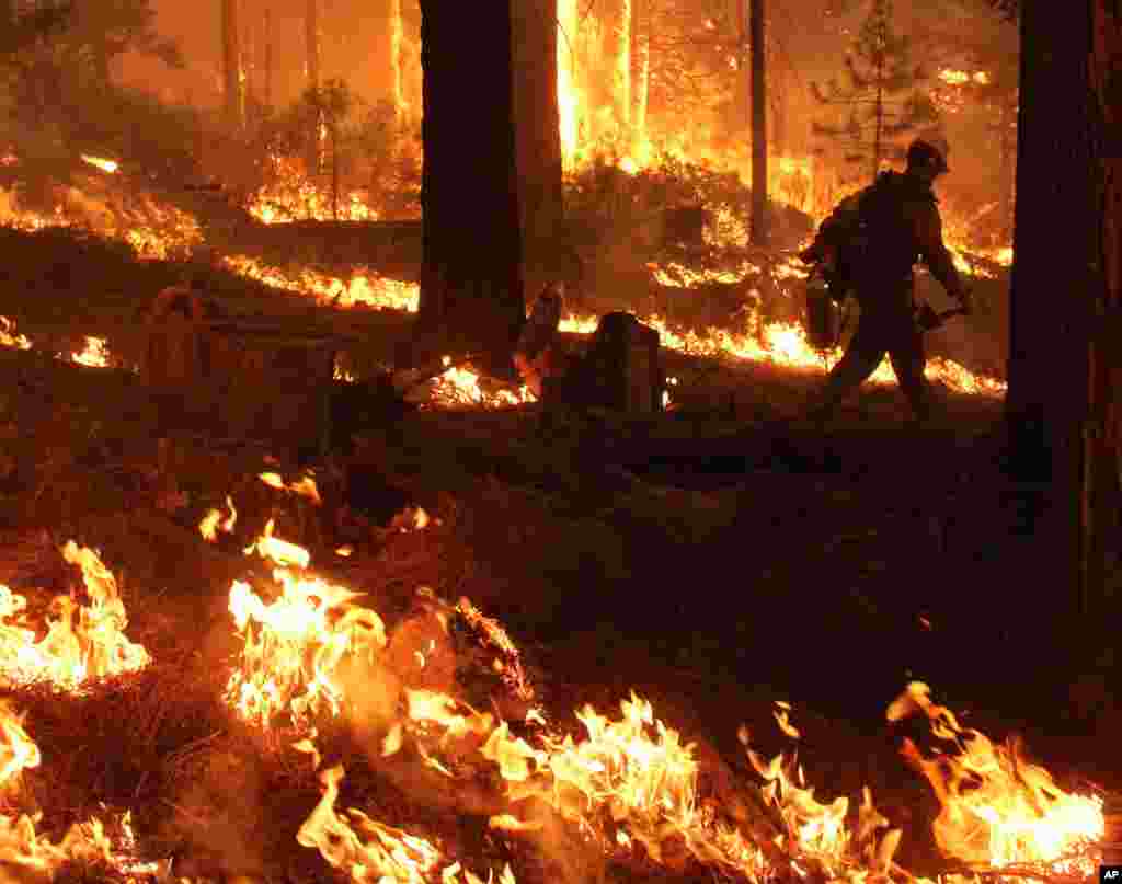 A member of the Bureau of Land Management Silver State Hotshot crew from Elko, Nevada, walks through a burn operation on the southern flank of the Rim Fire near Yosemite National Park in California, August 30, 2013. (U.S. Forest Service, Mike McMillan)