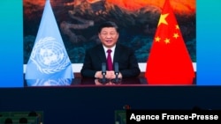 Media staff members watch a live image of China's President Xi Jinping speaking at the media center of the UN Biodiversity Conference (COP 15) in Kunming, in China's southwestern Yunnan province on Oct. 12, 2021.