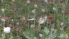 16x9 Image