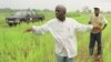 Mamady Douno, a rice farmer, shows technical assistants his crop of a new rice variety near Maferenya, Guinea in this Aug. 19, 2002 photo. 