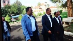 ከኦነግ አመራሮች ጋር ለመወያየት አሥመራ የተጓዘው ልዑካን ከፕሬዚዳንት ኢሳያስ ጋር ተገናኘ