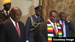 President Emmerson Mnangagwa And Ramaphosa