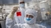 FILE - An engineer looks at monkey kidney cells as he tests an experimental vaccine for the COVID-19 coronavirus inside the Cells Culture Room laboratory at the Sinovac Biotech facilities in Beijing, April 29, 2020.