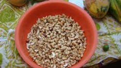 Guiné-Bissau: O melhor seria transformar localmente a castanha de caju, analistas
