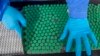 India’s Serum Institute Resumes Vaccine Exports to COVAX Vaccine Sharing Program
