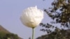 16x9 Image