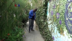 Kebun Gerilya Kota sebagai Oase dan Solusi Pangan