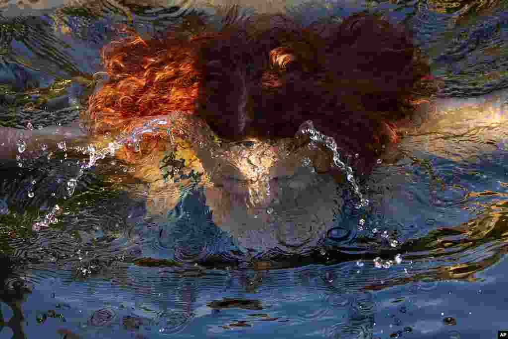 A woman plunges in icy water celebrating the Orthodox Epiphany in the Stroginskaya floodplain in Moscow, Russia, Jan. 19, 2025.