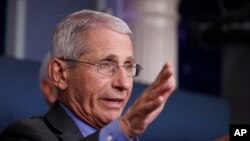 Dr. Anthony Fauci, director of the National Institute of Allergy and Infectious Diseases, speaks about the coronavirus in the James Brady Press Briefing Room at the White House, Monday, April 13, 2020, in Washington. (AP Photo/Alex Brandon)