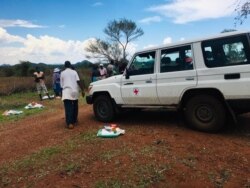 Sebedingelwa ukudla abalezindlu leziphala ezidilizwe lizulu elikhulu eGwanda esabelweni seMatabeleland South. (Photo: Albert Ncube)