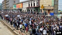 Thousands of Ethiopian opposition activists demonstrate in Addis Ababa, June 2, 2013. 